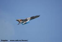 Imagine atasata: Timisoara Air Show 2015 - 2015.07.19 - 413.jpg